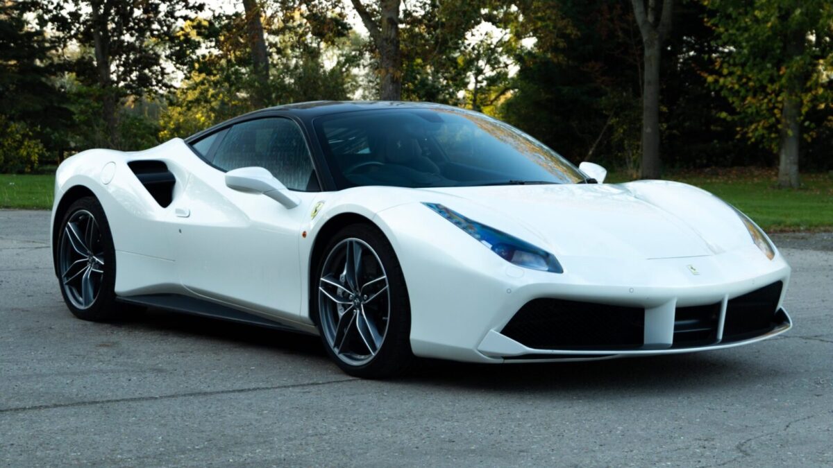 IMG_2352-Enhanced-NR_copy